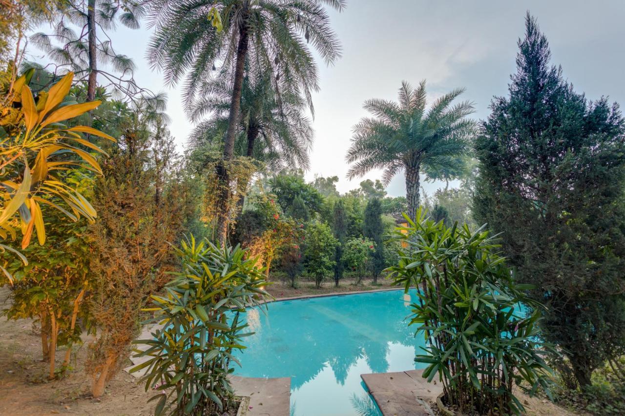 Hostie Chinar Haveli - Heritage Home With Pool, Gurgaon Exterior photo