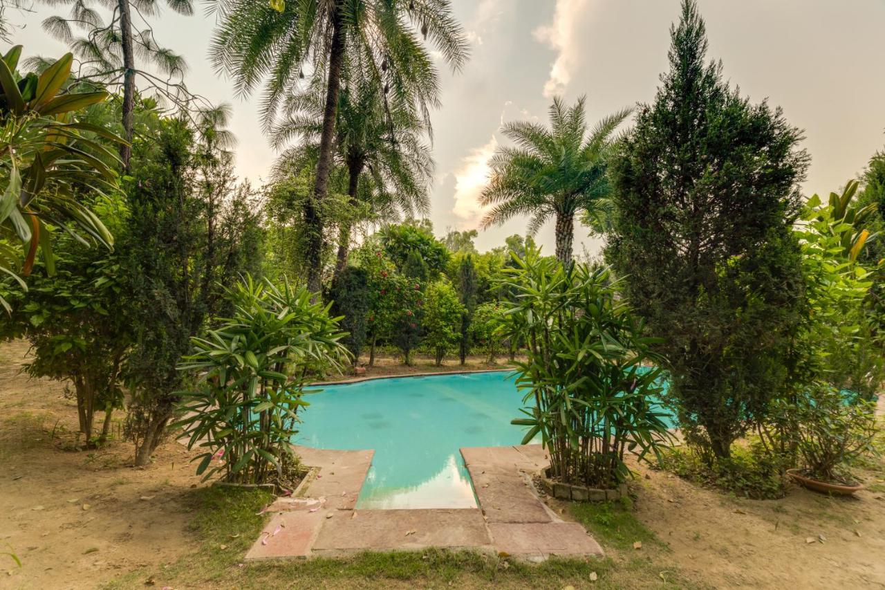 Hostie Chinar Haveli - Heritage Home With Pool, Gurgaon Exterior photo